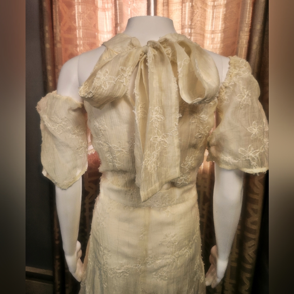 Romantic Sheer Lined Flower Embriodered Dress NWT Fits Size L